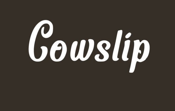 Cowslip: A Soft Serif Font That Feels Like a Thoughtful Handshake