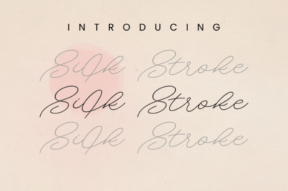 Silk Stroke: A Graceful Script Font for Real Business Branding